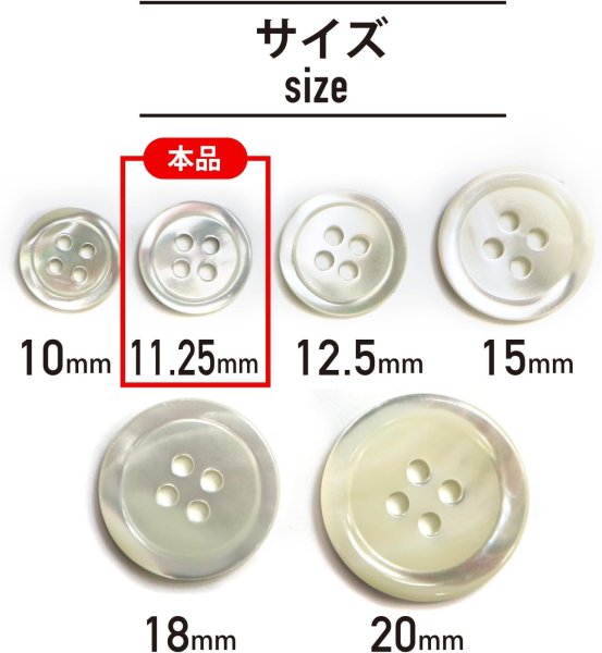画像2: シェルボタン 貝製 片面 高瀬貝 シャツ 四つ穴 白 ホワイト 12個入り【11.25mm】きらきらぷんぷん丸 B-093 (2)