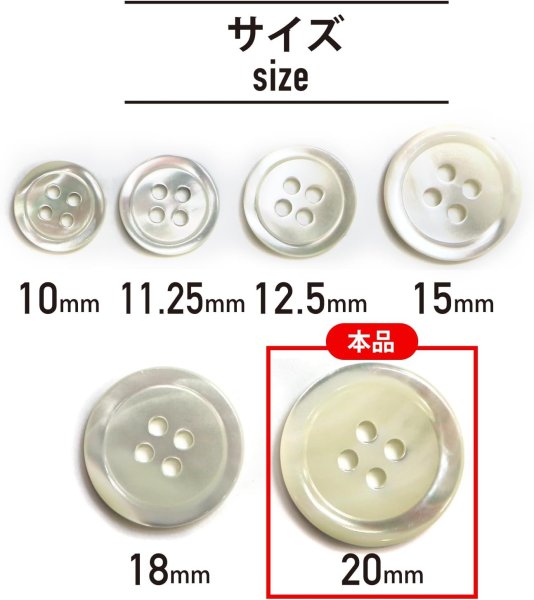 画像2: シェルボタン 貝製 片面 高瀬貝 シャツ 四つ穴 白 ホワイト 5個入り【20mm】きらきらぷんぷん丸 B-097 (2)