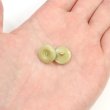 画像5: ナットボタン 足つきボタン 【ペールグリーン】 緑 メタル ゴールド 足つき ウッド ボタン 飾りボタン 5個入り 【13mm】 きらきらぷんぷん丸 B-1059 (5)