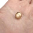 画像6: メタルボタン 【ゴールド】 金 ビジュー ブロンズ風 ドーム型 飾り 縫製 袖口 20個入り 【10mm】 ボタンマート B-105 (6)
