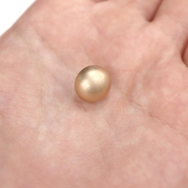 画像6: メタルボタン 【ゴールド】 金 ビジュー ブロンズ風 ドーム型 飾り 縫製 袖口 20個入り 【11.5mm】 ボタンマート B-106 (6)