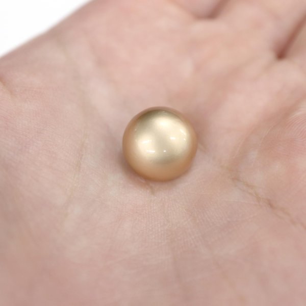 画像6: メタルボタン 【ゴールド】 金 ビジュー ブロンズ風 ドーム型 飾り 縫製 袖口 15個入り 【12.5mm】 ボタンマート B-107 (6)