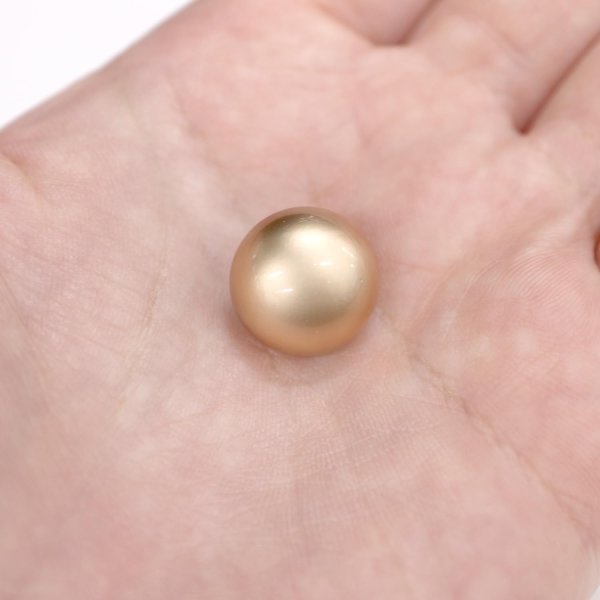 画像6: メタルボタン 【ゴールド】 金 ビジュー ブロンズ風 ドーム型 飾り 縫製 袖口 15個入り 【15mm】 ボタンマート B-108 (6)