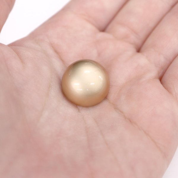 画像6: メタルボタン 【ゴールド】 金 ビジュー ブロンズ風 ドーム型 飾り 縫製 袖口 10個入り 【18mm】 ボタンマート B-109 (6)