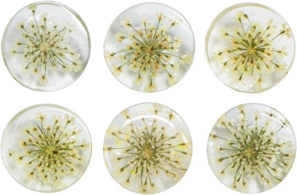 画像1: 足つきボタン ドライフラワー【アイボリー】6個入り 白 花【20mm】手芸 樹脂製 可愛い おしゃれ きらきらぷんぷん丸 B-1199 (1)