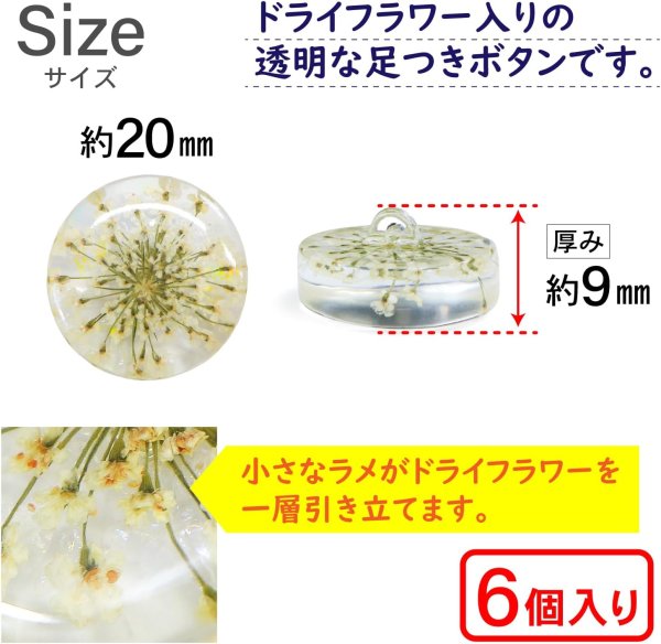 画像2: 足つきボタン ドライフラワー【アイボリー】6個入り 白 花【20mm】手芸 樹脂製 可愛い おしゃれ きらきらぷんぷん丸 B-1199 (2)