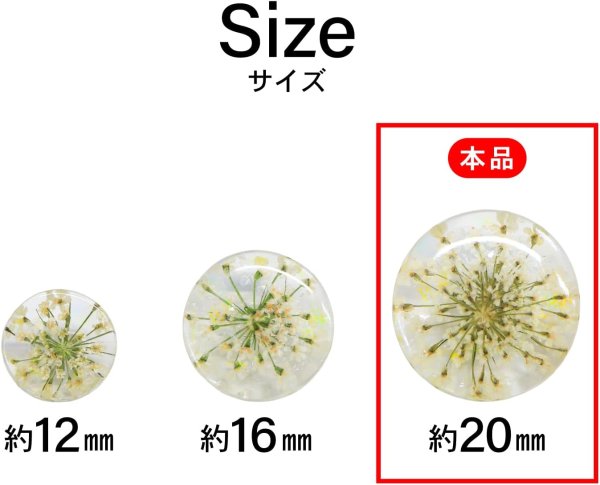 画像3: 足つきボタン ドライフラワー【アイボリー】6個入り 白 花【20mm】手芸 樹脂製 可愛い おしゃれ きらきらぷんぷん丸 B-1199 (3)