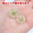 画像5: 足つきボタン ドライフラワー【アイボリー】6個入り 白 花【20mm】手芸 樹脂製 可愛い おしゃれ きらきらぷんぷん丸 B-1199 (5)