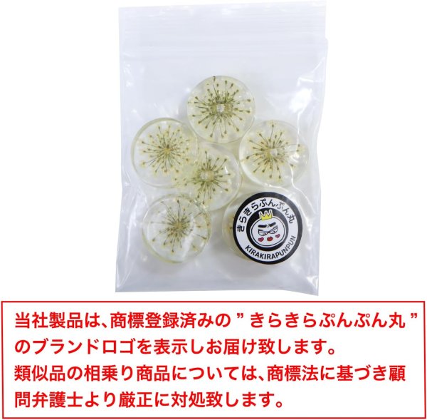 画像7: 足つきボタン ドライフラワー【アイボリー】6個入り 白 花【20mm】手芸 樹脂製 可愛い おしゃれ きらきらぷんぷん丸 B-1199 (7)