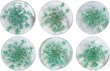 画像1: 足つきボタン ドライフラワー【グリーン】6個入り 緑 花【20mm】手芸 樹脂製 可愛い おしゃれ きらきらぷんぷん丸 B-1201 (1)