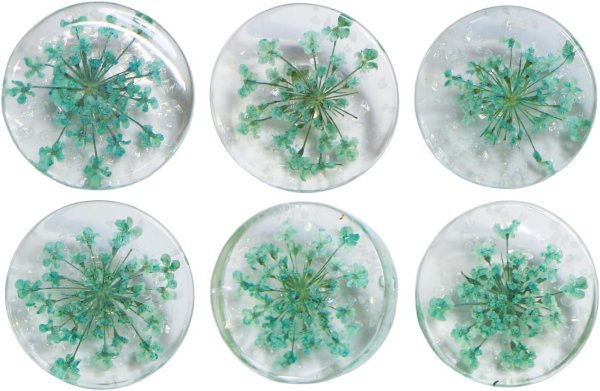画像1: 足つきボタン ドライフラワー【グリーン】6個入り 緑 花【20mm】手芸 樹脂製 可愛い おしゃれ きらきらぷんぷん丸 B-1201 (1)