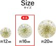 画像3: 足つきボタン ドライフラワー【アイボリー】6個入り 白 花【16mm】手芸 樹脂製 可愛い おしゃれ きらきらぷんぷん丸 B-1202 (3)