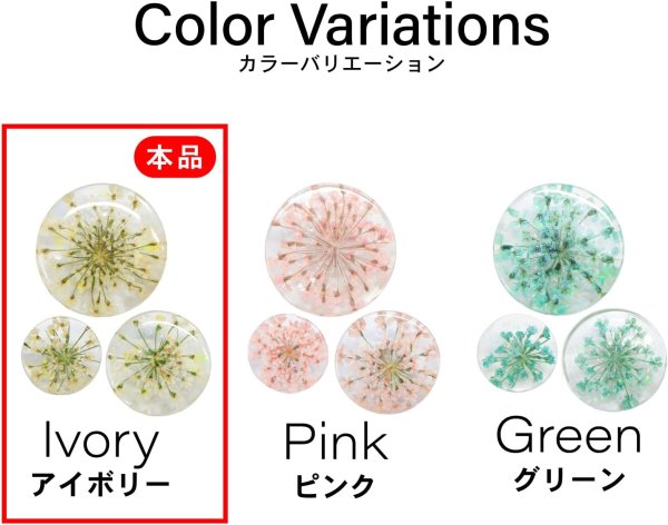 画像4: 足つきボタン ドライフラワー【アイボリー】6個入り 白 花【16mm】手芸 樹脂製 可愛い おしゃれ きらきらぷんぷん丸 B-1202 (4)