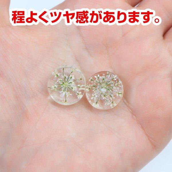 画像5: 足つきボタン ドライフラワー【アイボリー】6個入り 白 花【16mm】手芸 樹脂製 可愛い おしゃれ きらきらぷんぷん丸 B-1202 (5)
