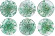 画像1: 足つきボタン ドライフラワー【グリーン】6個入り 緑 花【16mm】手芸 樹脂製 可愛い おしゃれ きらきらぷんぷん丸 B-1204 (1)