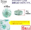 画像2: 足つきボタン ドライフラワー【グリーン】6個入り 緑 花【16mm】手芸 樹脂製 可愛い おしゃれ きらきらぷんぷん丸 B-1204 (2)