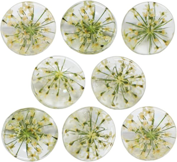画像1: 足つきボタン ドライフラワー【アイボリー】8個入り 白 花【12mm】手芸 樹脂製 可愛い おしゃれ きらきらぷんぷん丸 B-1205 (1)