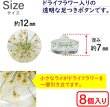 画像2: 足つきボタン ドライフラワー【アイボリー】8個入り 白 花【12mm】手芸 樹脂製 可愛い おしゃれ きらきらぷんぷん丸 B-1205 (2)