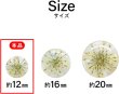 画像3: 足つきボタン ドライフラワー【アイボリー】8個入り 白 花【12mm】手芸 樹脂製 可愛い おしゃれ きらきらぷんぷん丸 B-1205 (3)