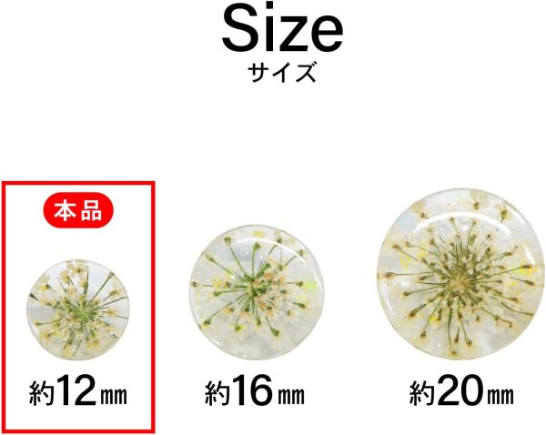 画像3: 足つきボタン ドライフラワー【アイボリー】8個入り 白 花【12mm】手芸 樹脂製 可愛い おしゃれ きらきらぷんぷん丸 B-1205 (3)