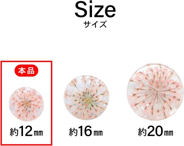 画像3: 足つきボタン ドライフラワー【ピンク】8個入り 花【12mm】手芸 樹脂製 可愛い おしゃれ きらきらぷんぷん丸 B-1206 (3)