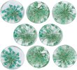 画像1: 足つきボタン ドライフラワー【グリーン】8個入り 緑 花【12mm】手芸 樹脂製 可愛い おしゃれ きらきらぷんぷん丸 B-1207 (1)