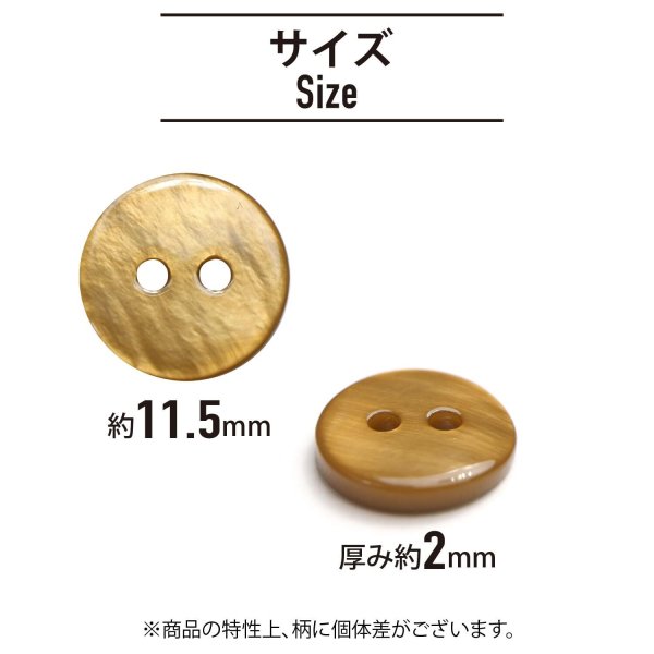 画像2: シェルボタン 【11.5mm】ブラウン 10個入り 染色 真珠 貝 二つ穴 手芸 装飾 おしゃれ きらきらぷんぷん丸 B-1303 (2)