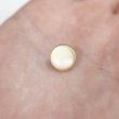 画像6: メタルボタン フラット 【ゴールド ツヤなし】 金 ビジュー 飾り 縫製 袖口 20個入り 【10mm】 ボタンマート B-143 (6)