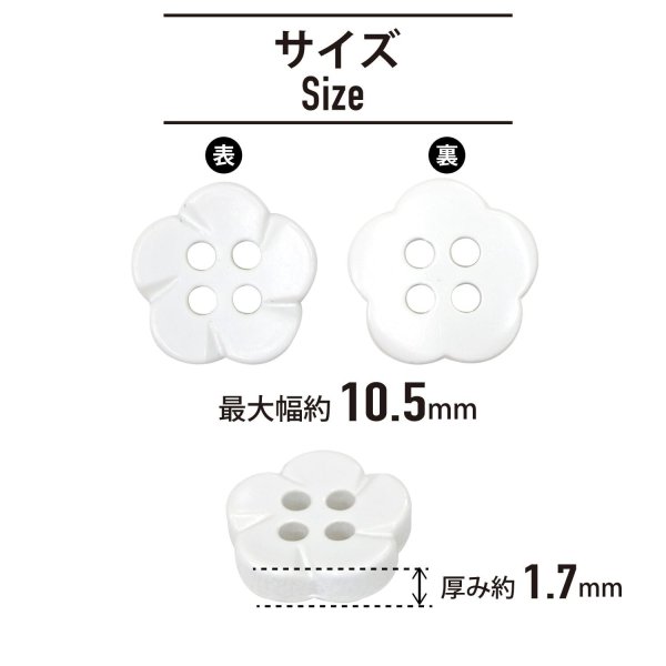 画像2: 四つ穴 フラワーボタン 【ホワイト】10.5mm 15個入り 樹脂 プラスチック 手芸 ハンドメイド 花柄 装飾 きらきらぷんぷん丸 B-1514 (2)