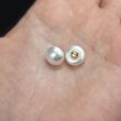 画像6: パールボタン 足つき 【ホワイト ツヤあり】 10mm 20個入り カラー パール ボタン 白 ボタンマート B-194 (6)
