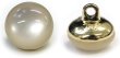 画像1: 足つきボタン 【ホワイト】 白 半透明 シャツ スーツ 10個入り 【11.5mm】 きらきらぷんぷん丸 B-246 (1)