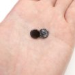 画像6: メタルボタン フラット 【ブラック 鏡面仕上げ】 黒 ビジュー 飾り 縫製 袖口 20個入り 【10mm】 ボタンマート B-294 (6)