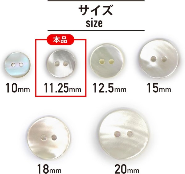 画像2: シェルボタン 貝ボタン 貝製 片面 高瀬貝 シャツ ボタン 二つ穴ボタン 白 ホワイト 12個入り 【11.25mm】 ボタンマート B-516 (2)