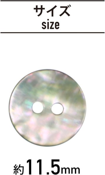 画像2: アワビ貝 二つ穴ボタン シェルボタン 貝ボタン 貝製 片面 白 ホワイト ボタン 12個入り 【11.5mm】 ボタンマート B-888 (2)